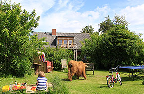 Highlanderhof Kiene in Behrensdorf an der Ostsee Highlanderhof Kiene in Behrensdorf an der Ostsee